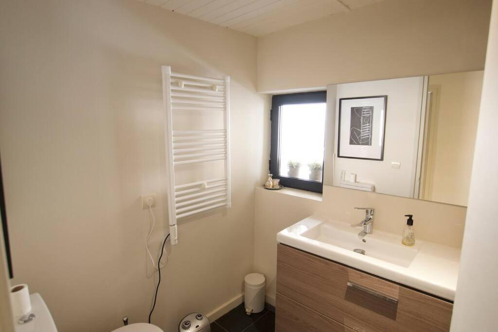 Apartament Central Amb Terrassa Alp Buitenkant foto